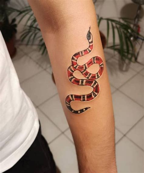 gucci snake tricep tattoo|Top 10 gucci snake tattoo ideas and inspiration .